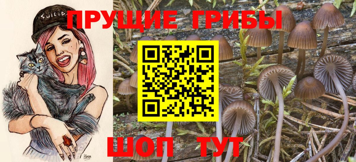 Псилоцибиновые грибы прущие грибы  Вход с VPN  Псилоцибиновые грибы Cubensis  Кировск 